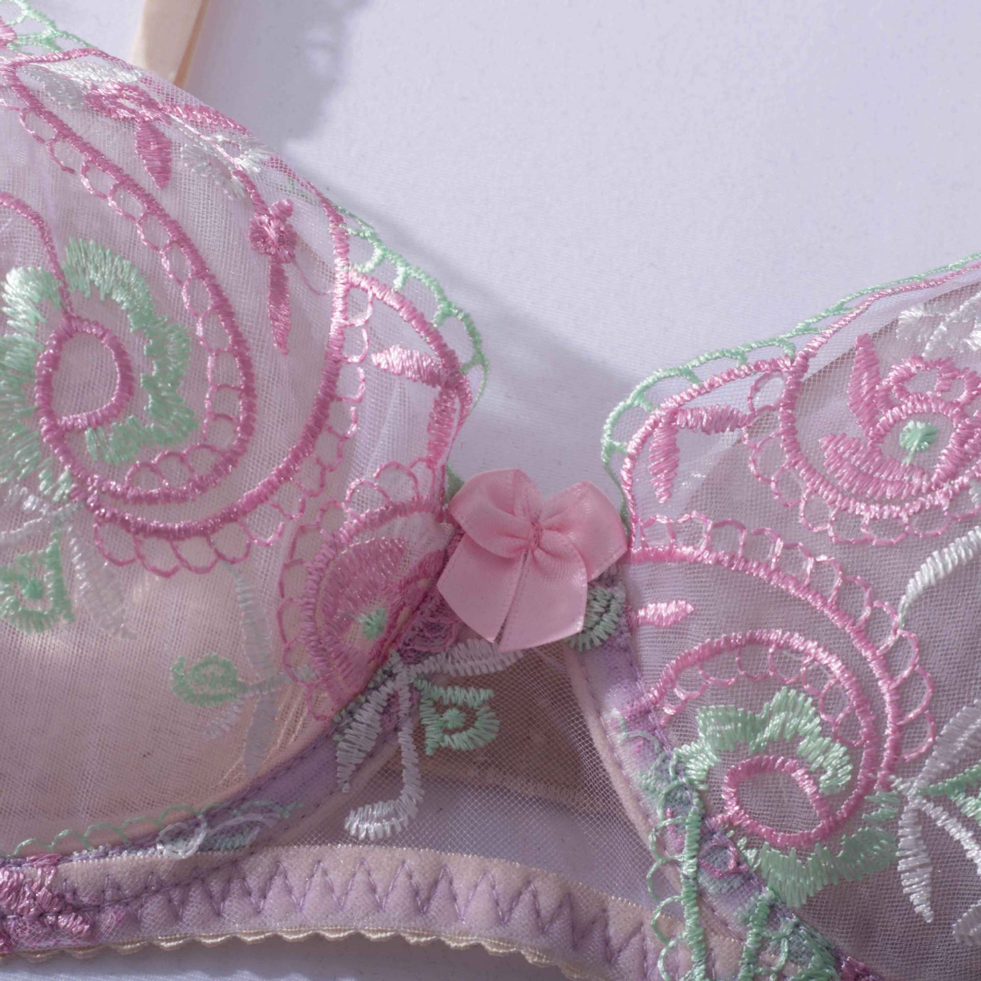 Sheer Mesh Sexy Lingerie Bra Set with Embroidered Flowers Bra Show